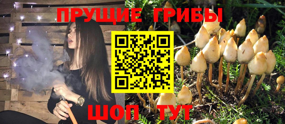 Галлюциногенные грибы прущие грибы  Вход с VPN  Белорецк 